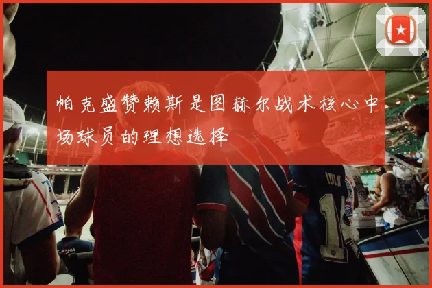 帕克盛赞赖斯是图赫尔战术核心中场球员的理想选择
