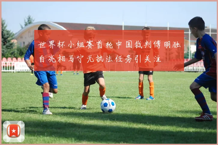 世界杯小组赛首轮中国裁判傅明独自亮相马宁无执法任务引关注