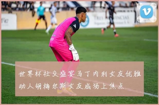 世界杯社交盛宴马丁内利女友优雅动人胡梅尔斯女友成场上焦点